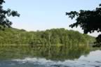 Radnor Lake, where we got engaged (293kb)